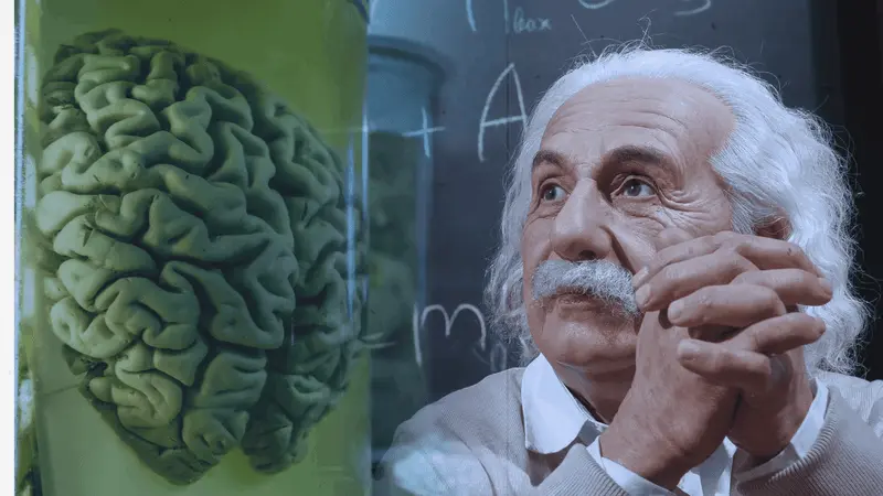 Neuro Energizer Brain Functionality